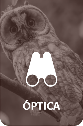 &Oacute;ptica